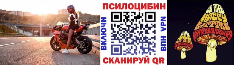 Купить  Лагань  Псилоцибиновые грибы Magic Shrooms 